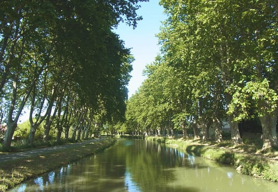 Le Canal du Midi